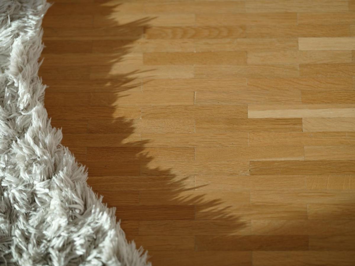 Apartament Stijlvolle En Lichtrijke Design Penthouse Met Prachtig Uitzicht Te Wenduine De Haan Zewnętrze zdjęcie